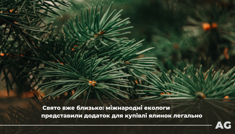 елка киев