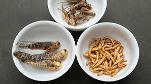 Без названия (6)