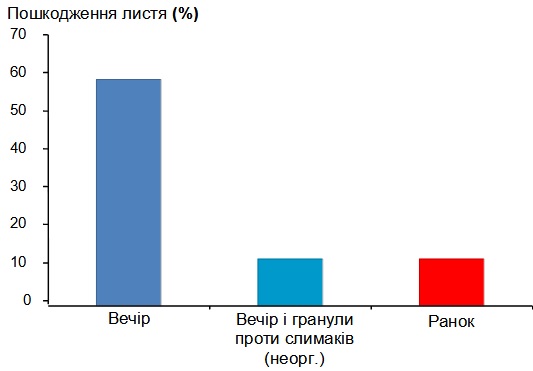 poshkodzhennya-salatu-slymakamy.jpg