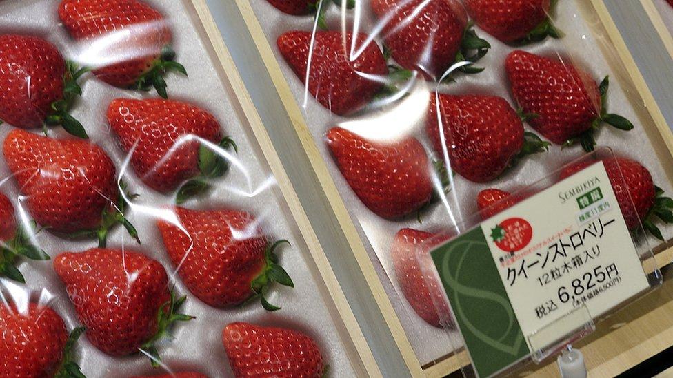 fruitsalon4