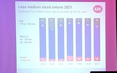 onion